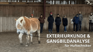 Exterieurkunde und Ganganalyse in der Praxis