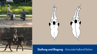 04.-05.07.2026 Stellung und Biegung am Islandpferdehof Buchenthal in Gammelsdorf/DE