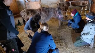 25.-26.04.2026 Intensiv-Fortbildung der ÖGH für zertifizierte Huftechniker (Rezertifizierung) und Interessierte in Klagenfurt/Kärnten